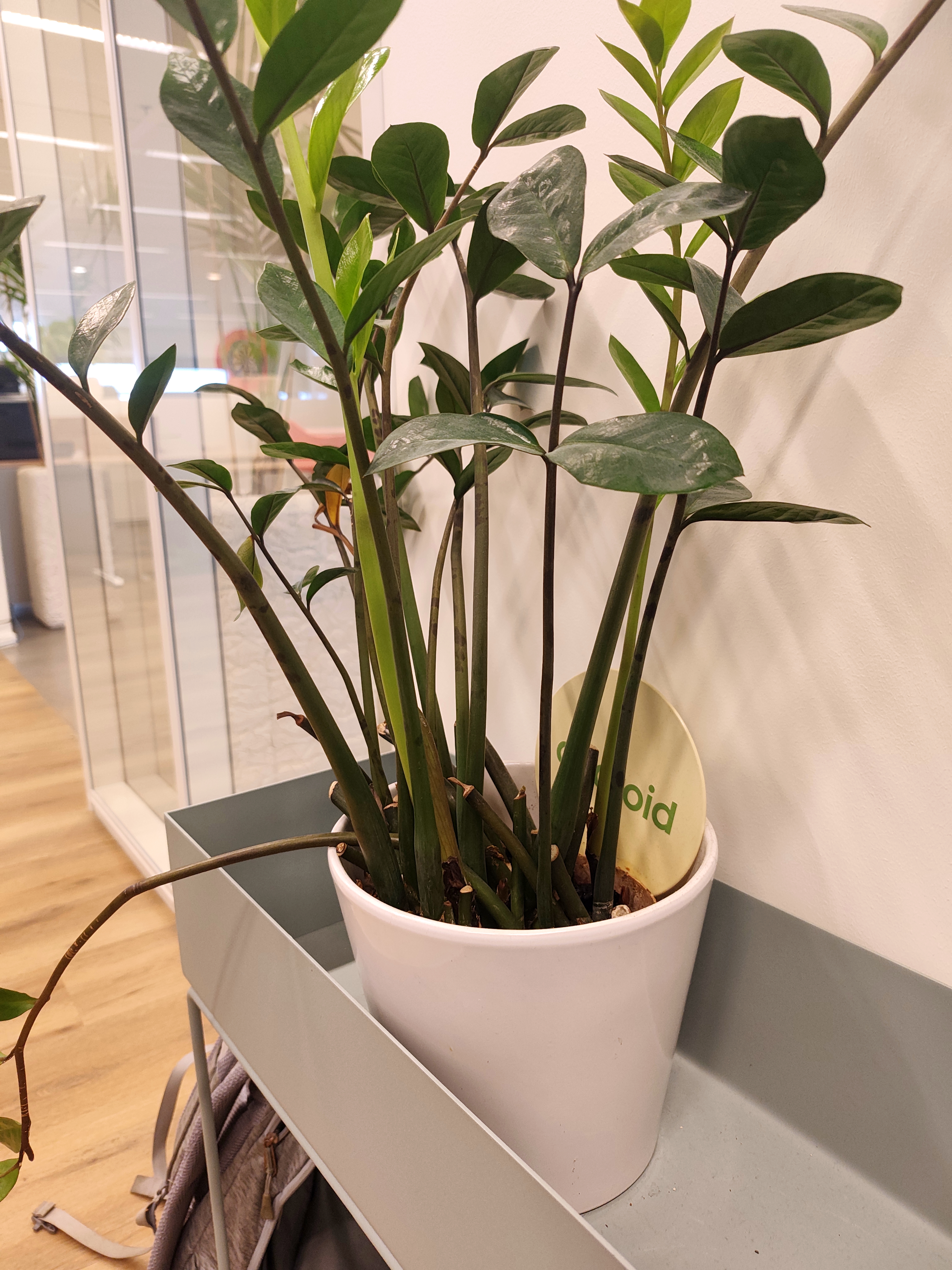 Poco m8 pro ia remover reflexos